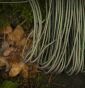 Linka TACTICAL CORD 275 (3,32 in x 100 ft) - ATWOOD - 7
